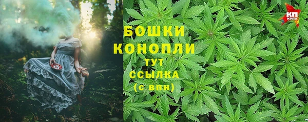 МДПВ Богданович