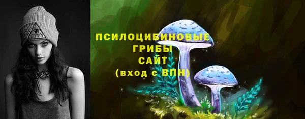 герыч Богородск