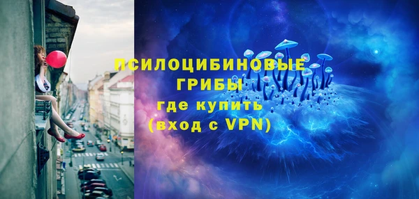 МДПВ Богданович