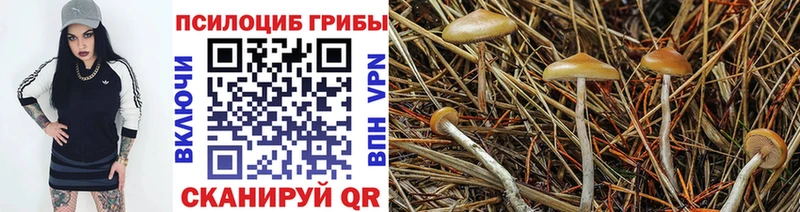 хочу   Тбилисская  Псилоцибиновые грибы MAGIC MUSHROOMS 