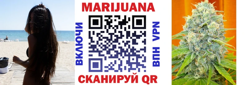 Каннабис индика  Тбилисская 